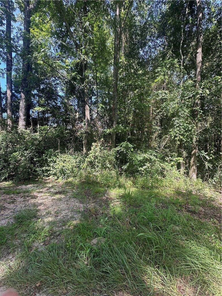 Property Photo:  Lot 1 County Road 38  AL 36866 
