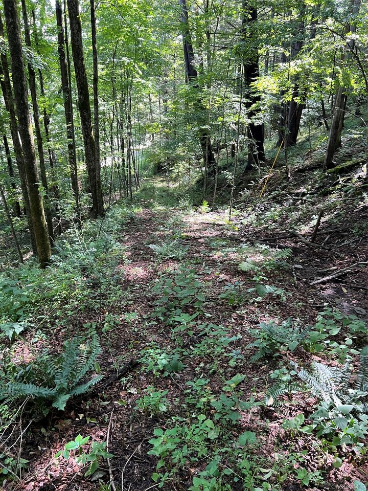 Property Photo:  00 Gibson Road  NY 13783 