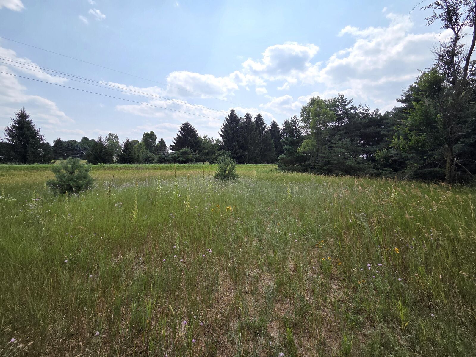 Property Photo: 00 W Stanton Road MI 49347