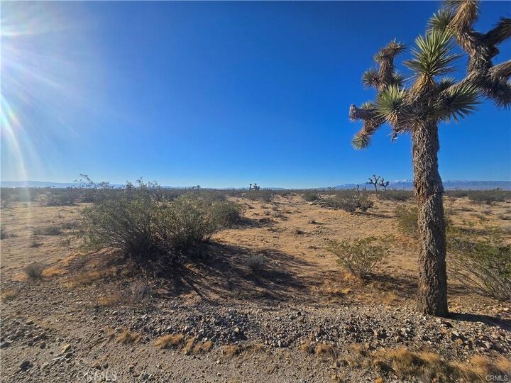 Property Photo: 11955 Coronado Avenue CA 92301