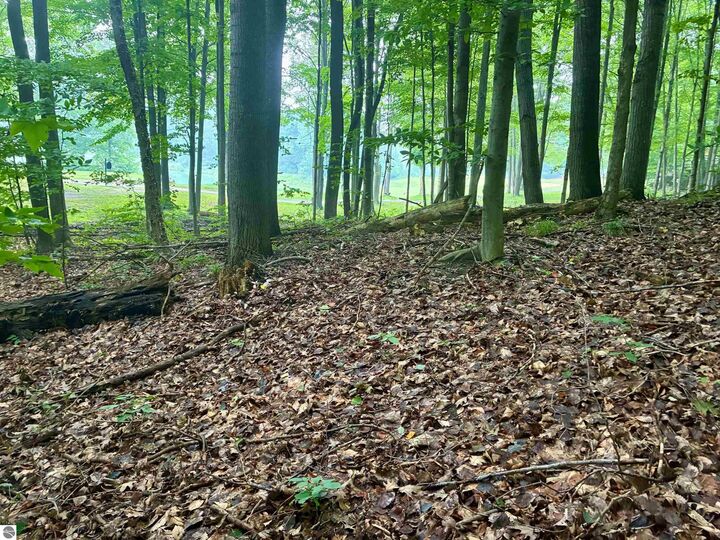 Property Photo: V/L 8 Forest Trail MI 49615