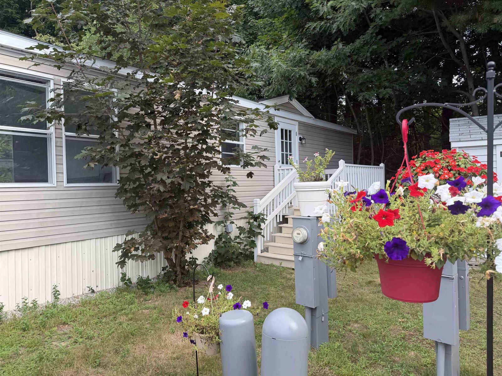Property Photo: 5 Tuna Terrace NH 03801
