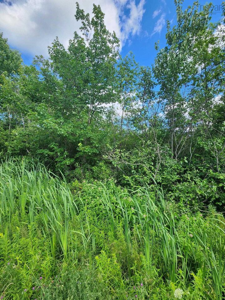 Property Photo:  Lot Highway 236  NS B0N 1P0 