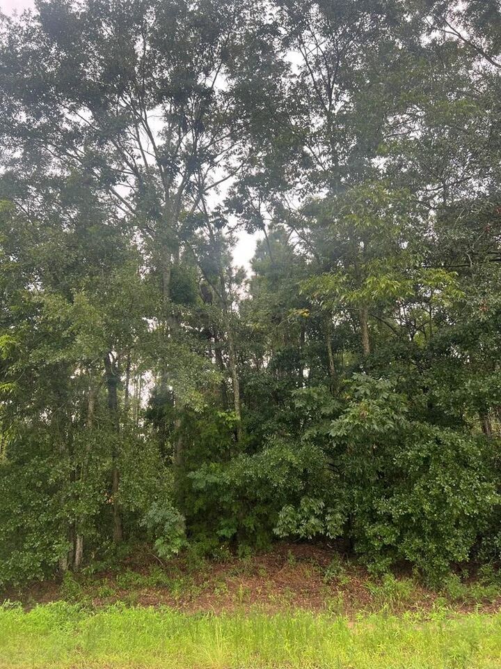Property Photo:  Tbd Parcel 3 Henry County Road 12  AL 36345 