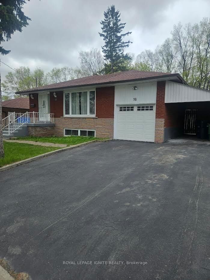 Property Photo:  16 Cicerella Crescent Main  ON M1K 5B5 