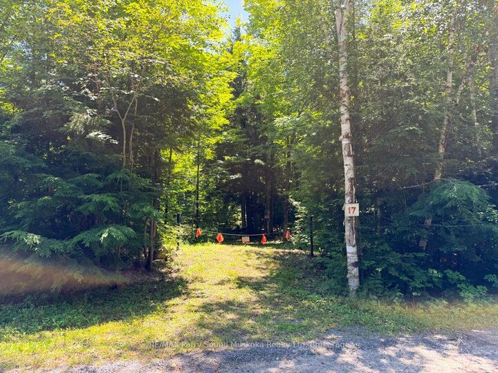 17 White Beaver Trail — photo 1