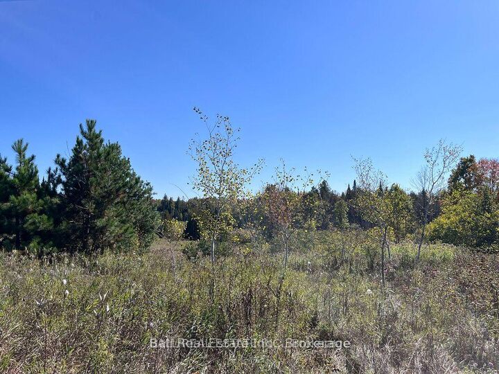 00 Koa Road — photo 1