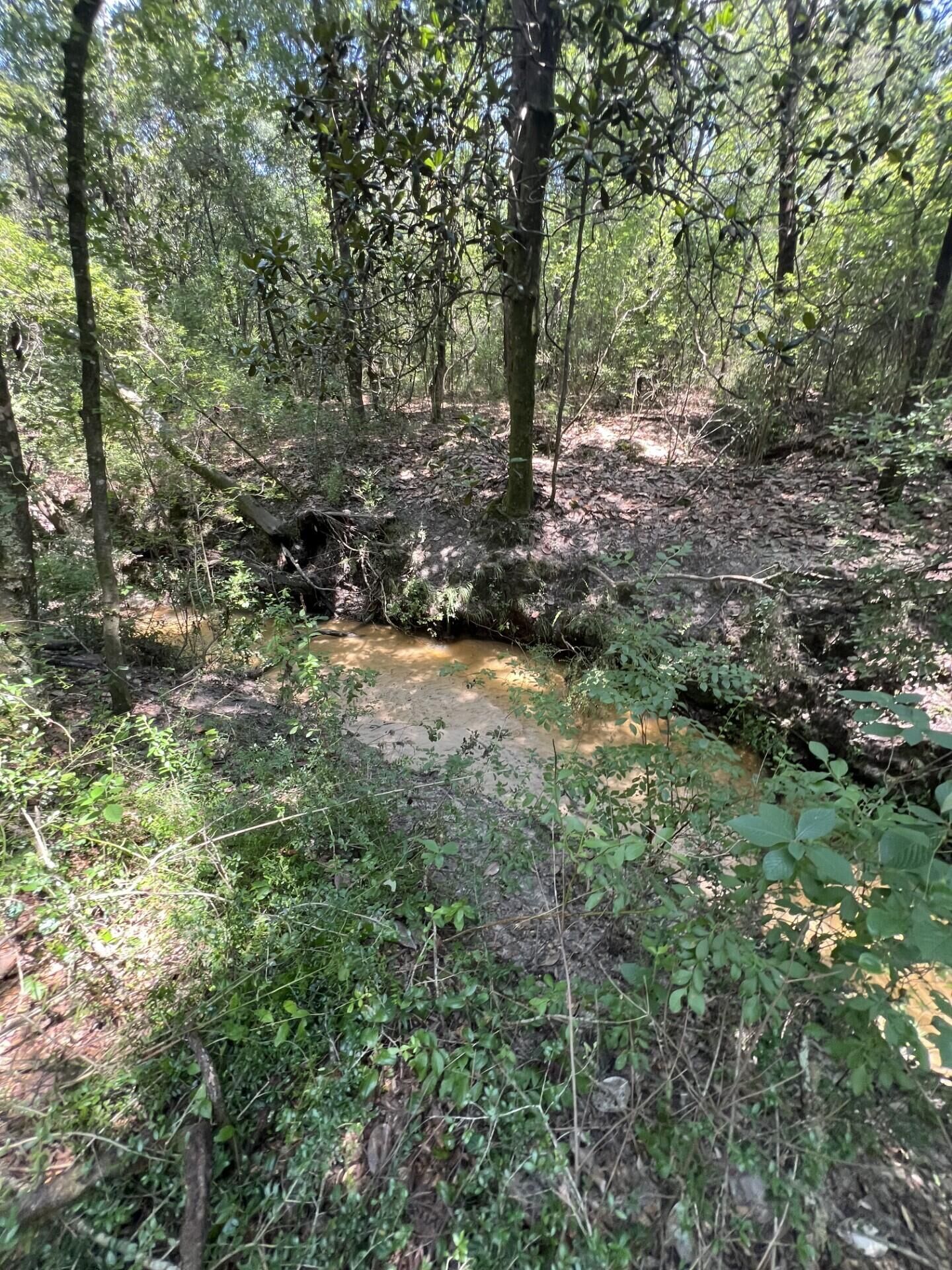 Property Photo:  6132 Long Road  FL 32567 