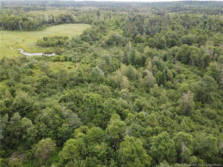 Property Photo:  0000 Blowdown Rd  NB E7N 2G3 