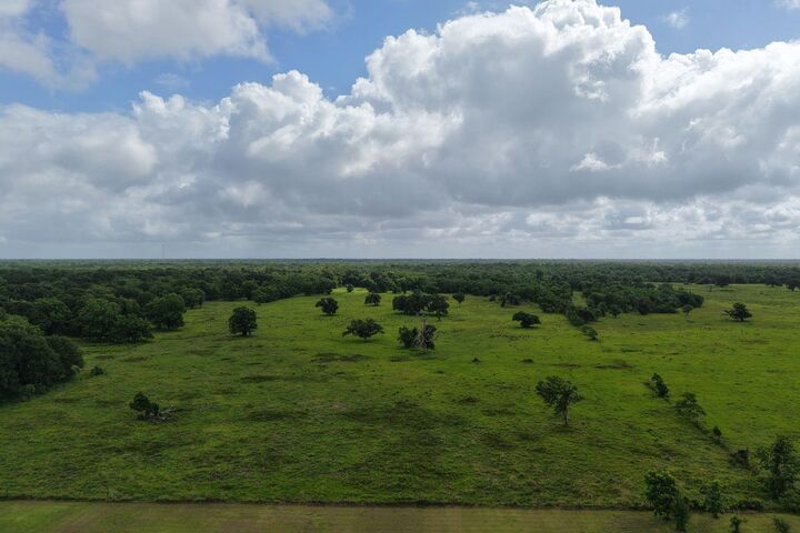 Property Photo:  Tbd County Road 164  TX 77415 