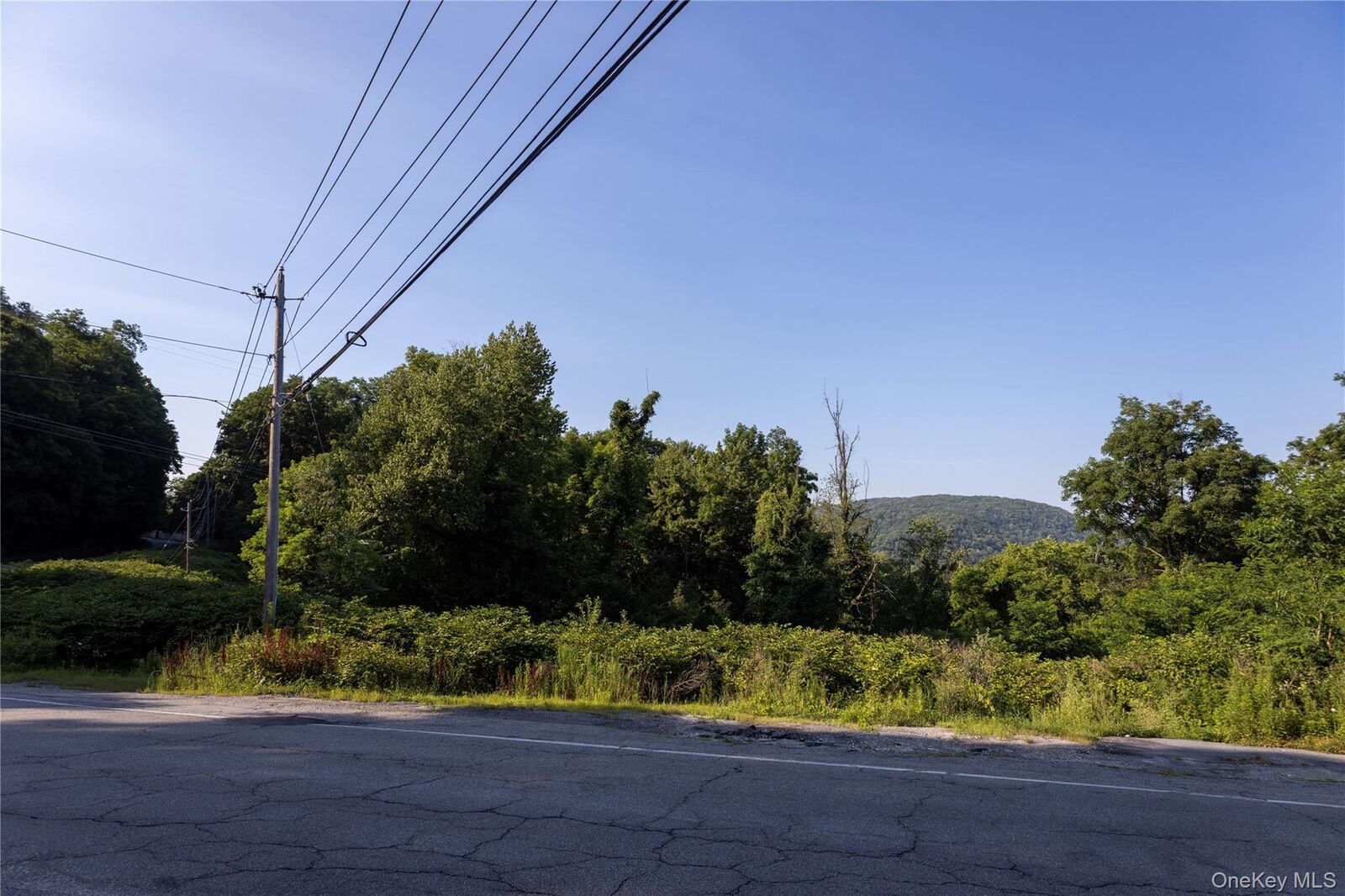 Property Photo:  Route 164  NY 12563 
