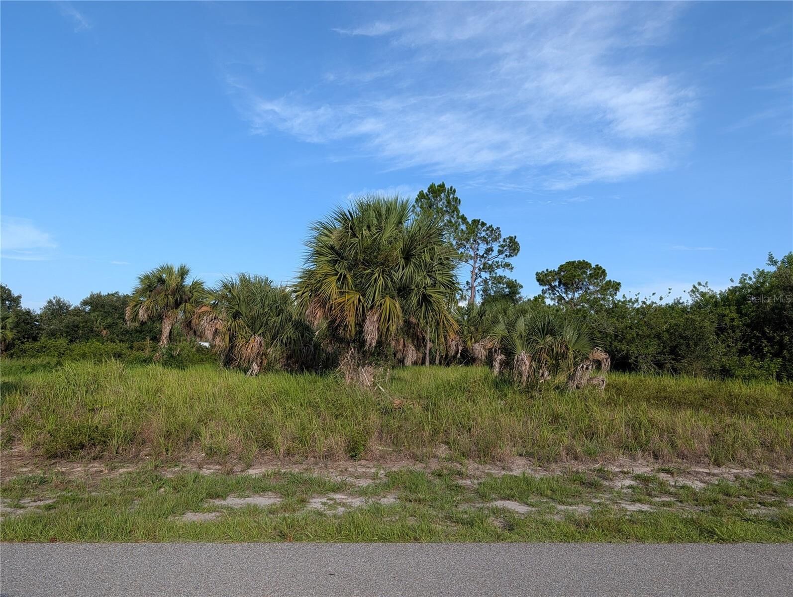 Property Photo: Delwood Drive FL 34288