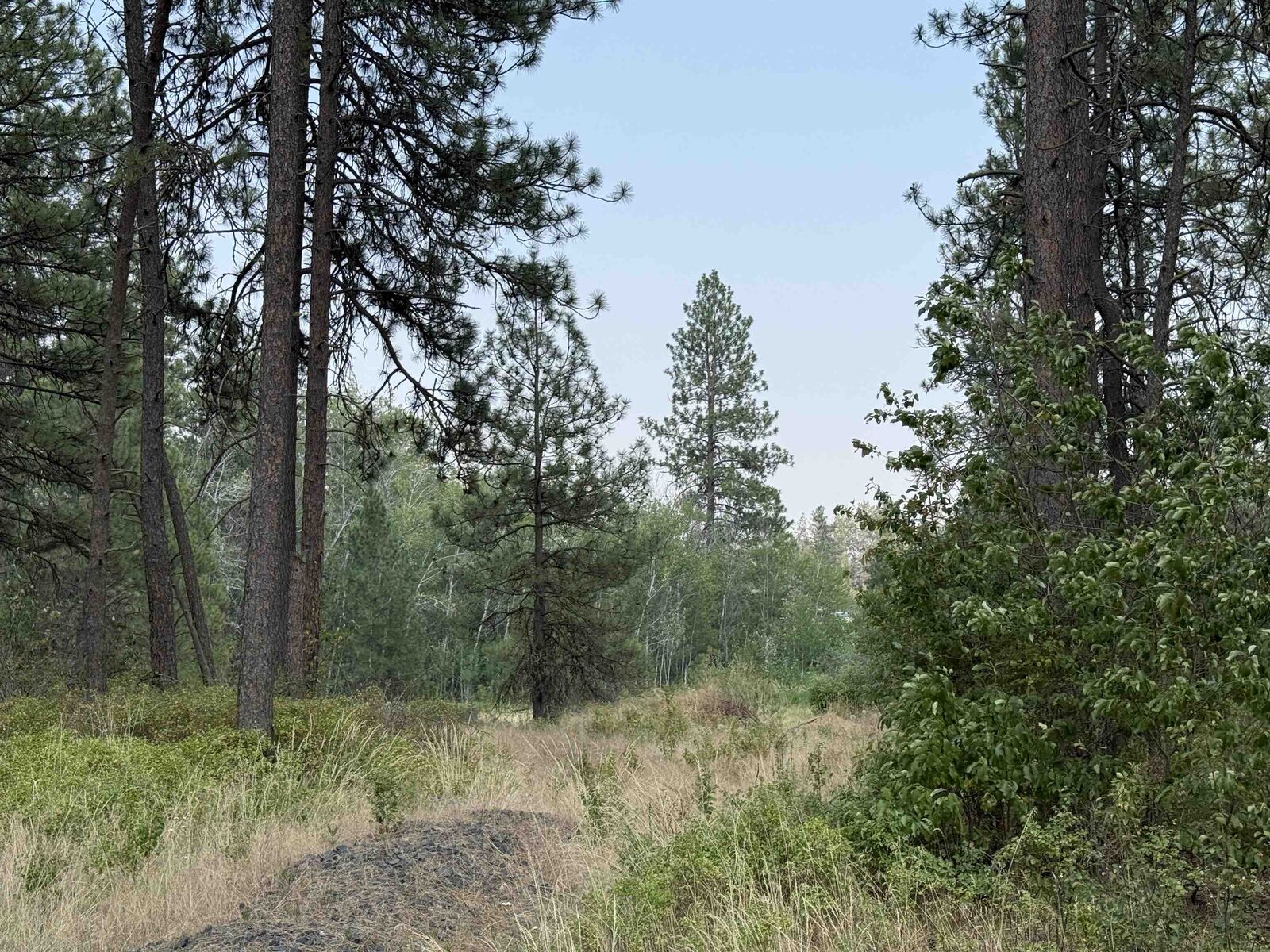 Property Photo: 5.11 Ac W Malloy Prairie Rd WA 99004