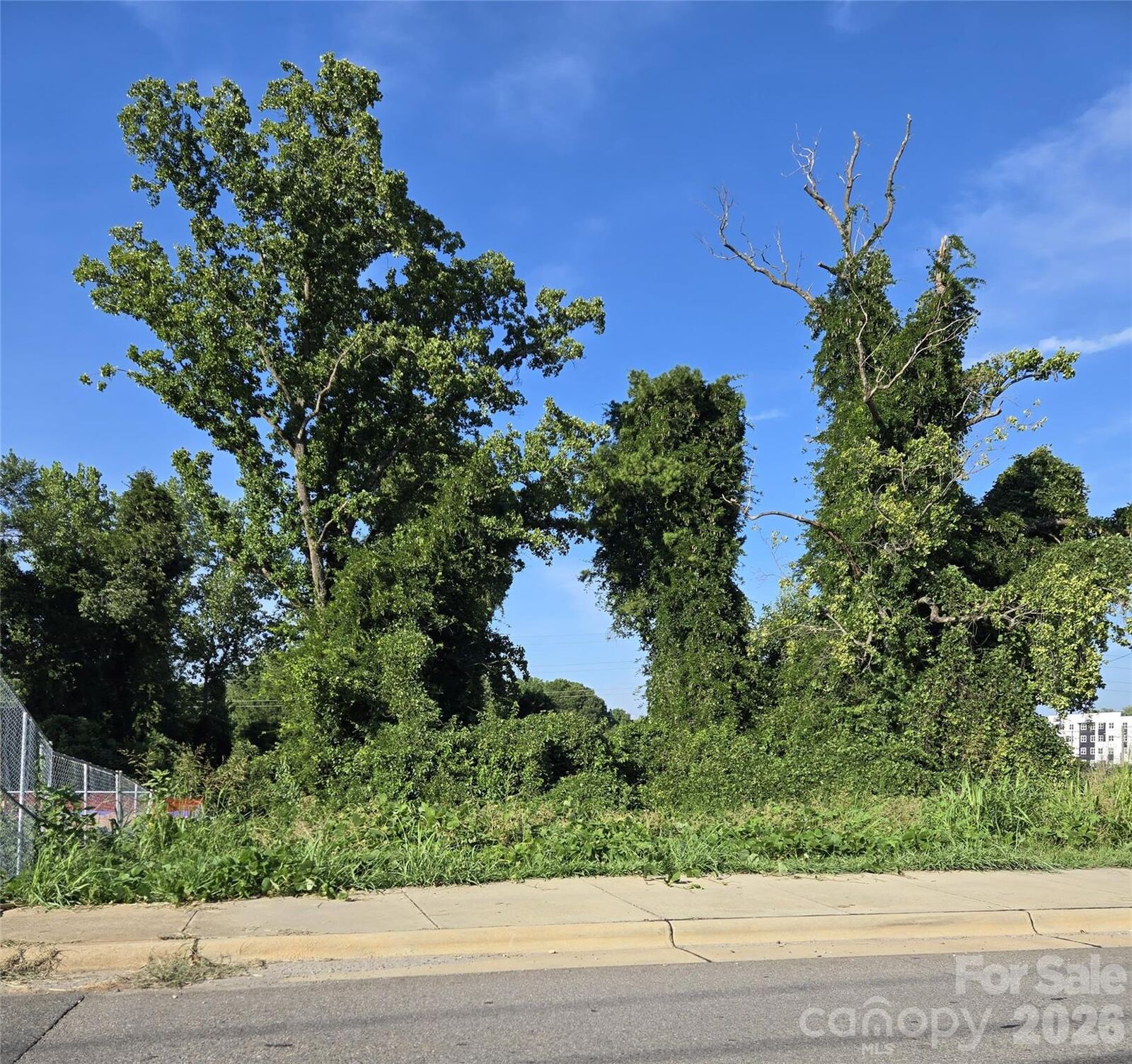 Property Photo:  204 W 28th Street  NC 28206 