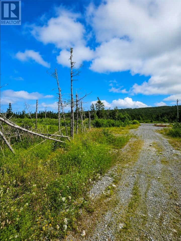 Property Photo:  168 Hodgewater Line  NL A0A 3W0 