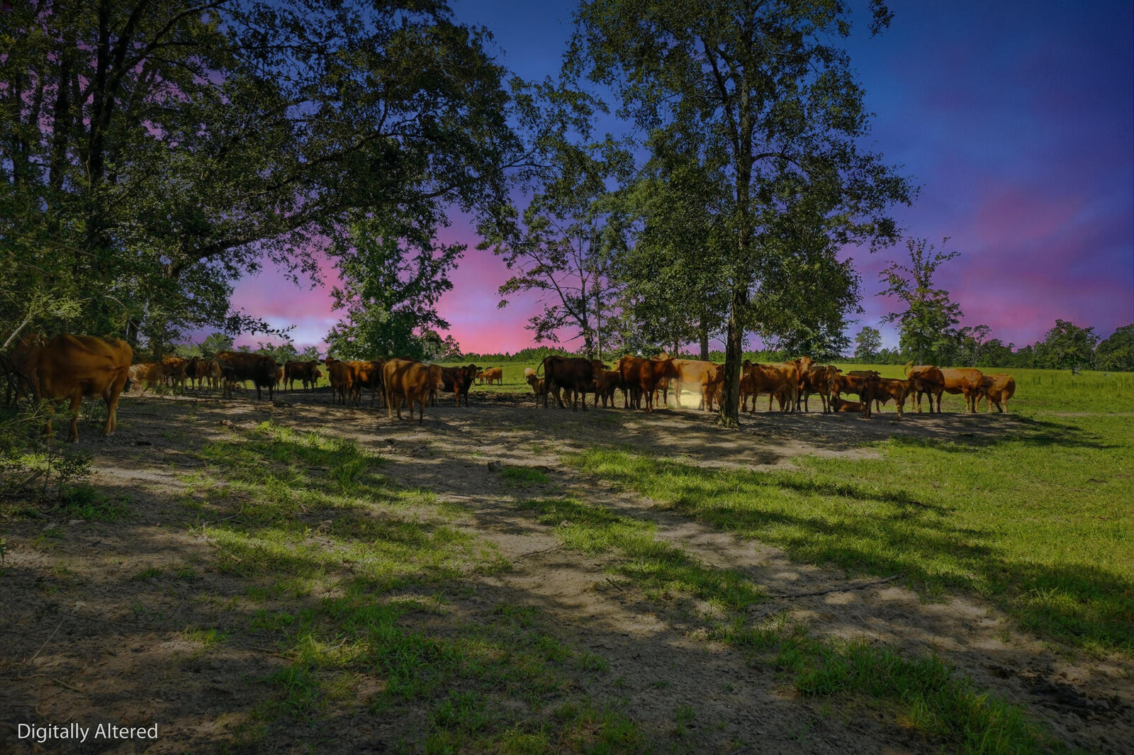 Property Photo: 520 Acres US Hwy 331 N FL 32433
