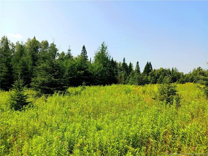 1496 Route 390 — photo 1