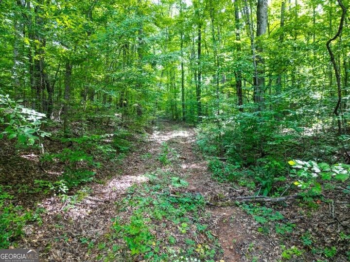 Property Photo:  0 Highway 431  AL 36274 