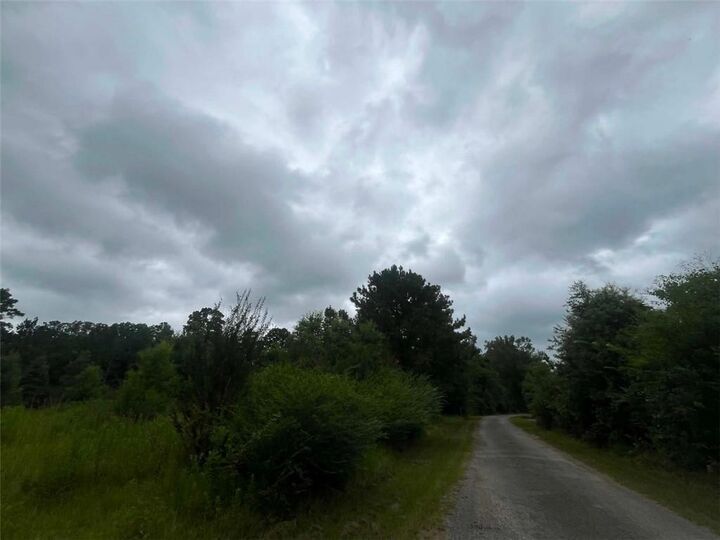 Property Photo:  589 Tyler Cemetery Road  LA 71323 