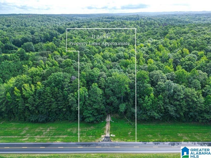 Property Photo:  0 Highway 431 0  AL 36274 