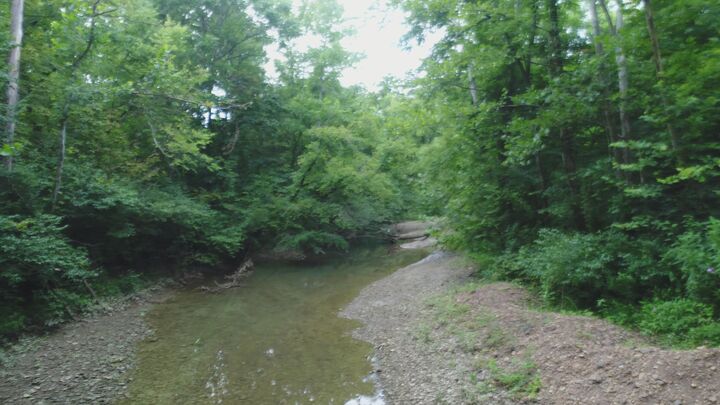 Property Photo:  399 Whitaker Cemetery Rd Road  KY 42503 