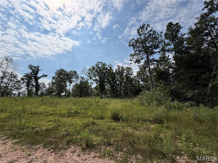 Property Photo: #136 Madison 410 MO 63645