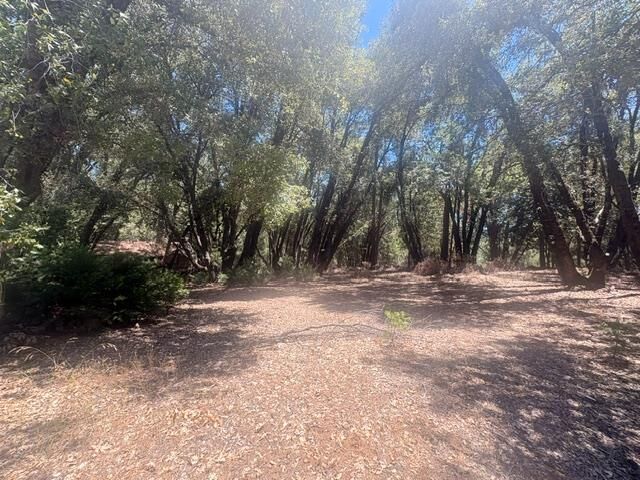 Property Photo:  0 Middle Camp  CA 95383 