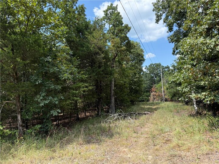 Property Photo: 00 Norris Lane AR 72802