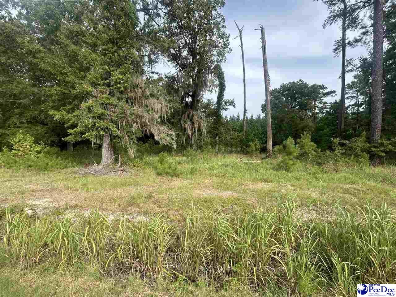 Property Photo:  Tbd Old #4 Highway  SC 29530 