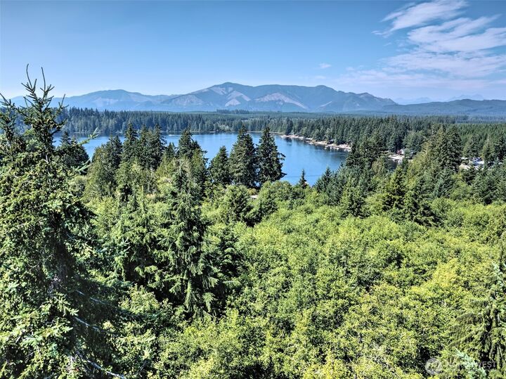 Property Photo: 221 W Little Nahwatzel Drive WA 98584