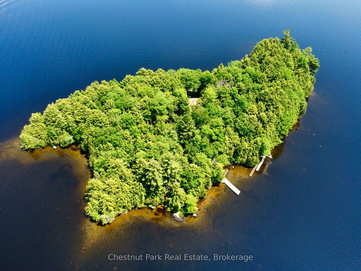 1 Cedar Island N/A — photo 1