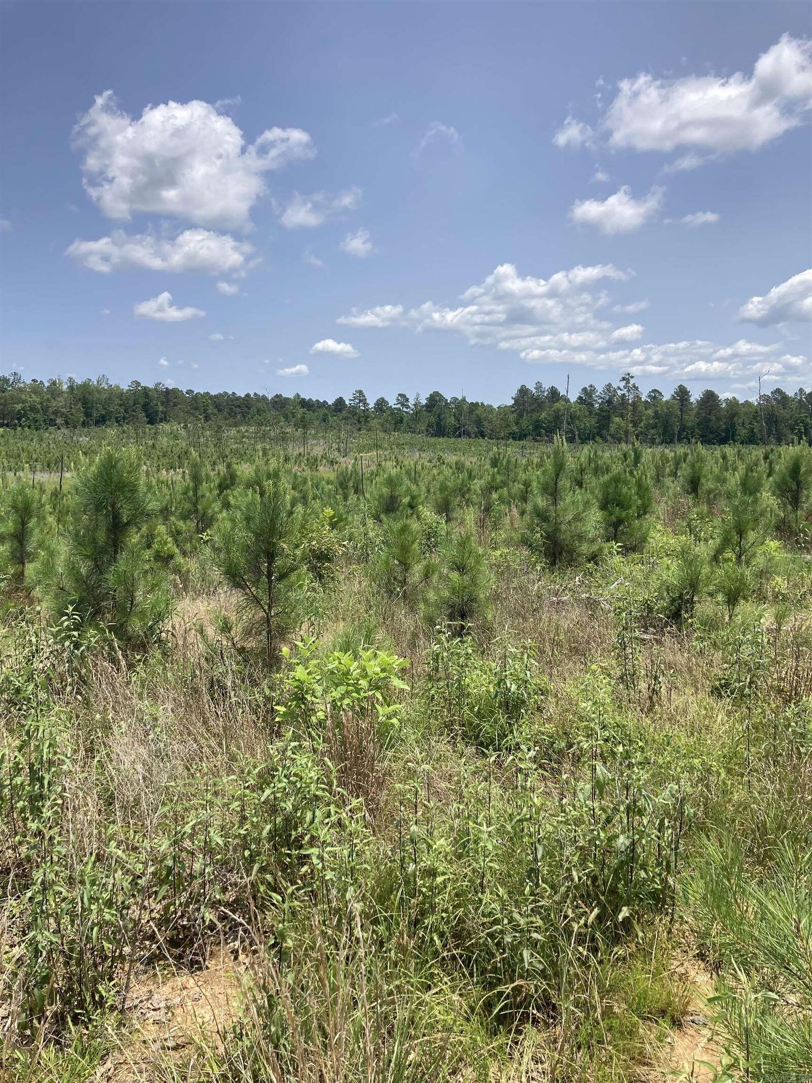 Property Photo:  1410 Block Of Beaudry Circle  AR 71949 