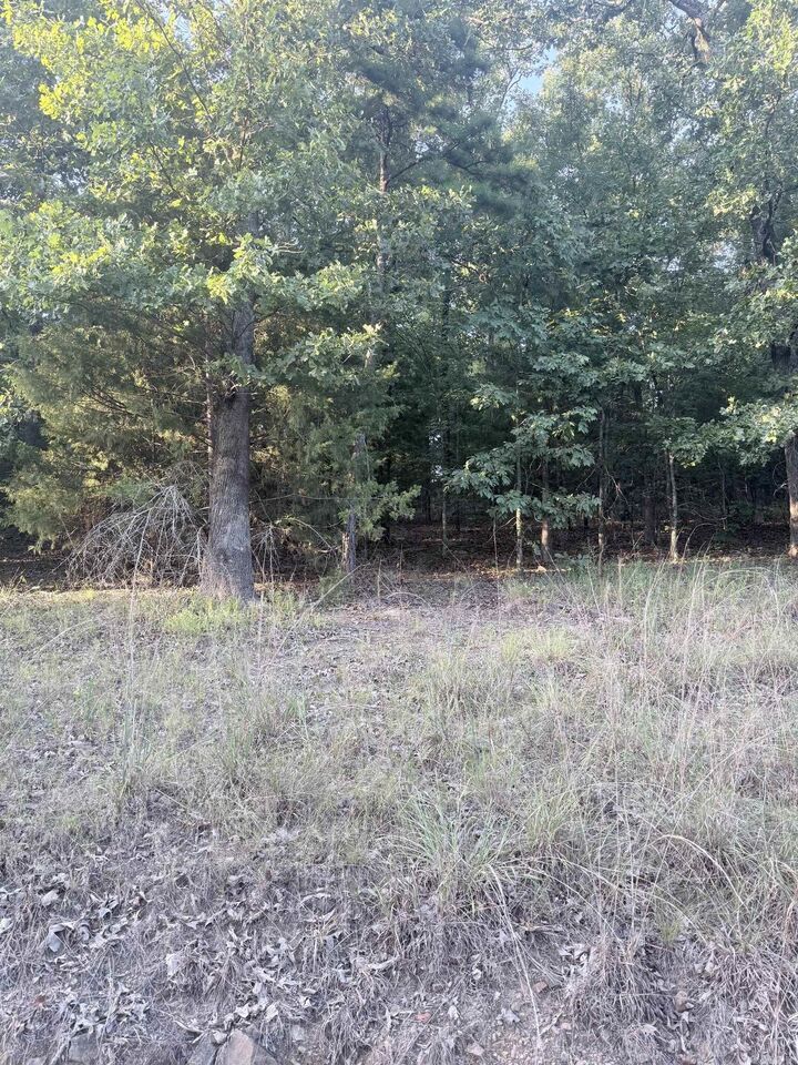 Property Photo:  Lot 13 Ridge  AR 72106 