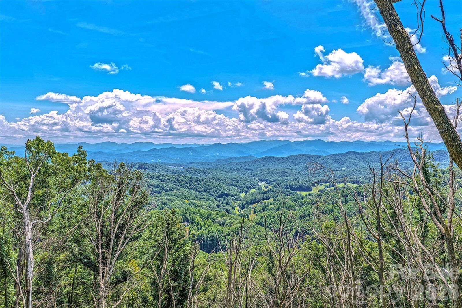 Property Photo:  294 Red Knob Lane  NC 28753 