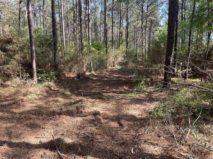 Property Photo: 15899 Wood Grove Way TX 77378