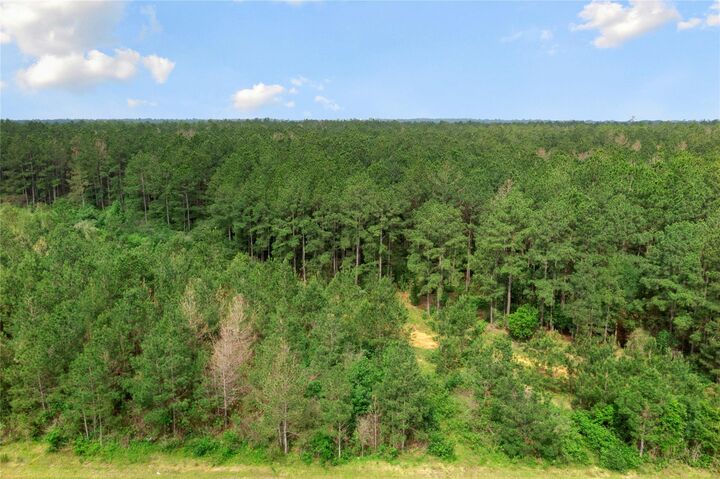 Property Photo: 15899 Wood Grove Way TX 77378