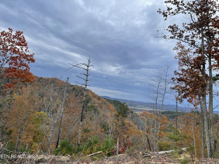 Property Photo:  157 Quarry Creek Rd Lot 5  TN 37385 