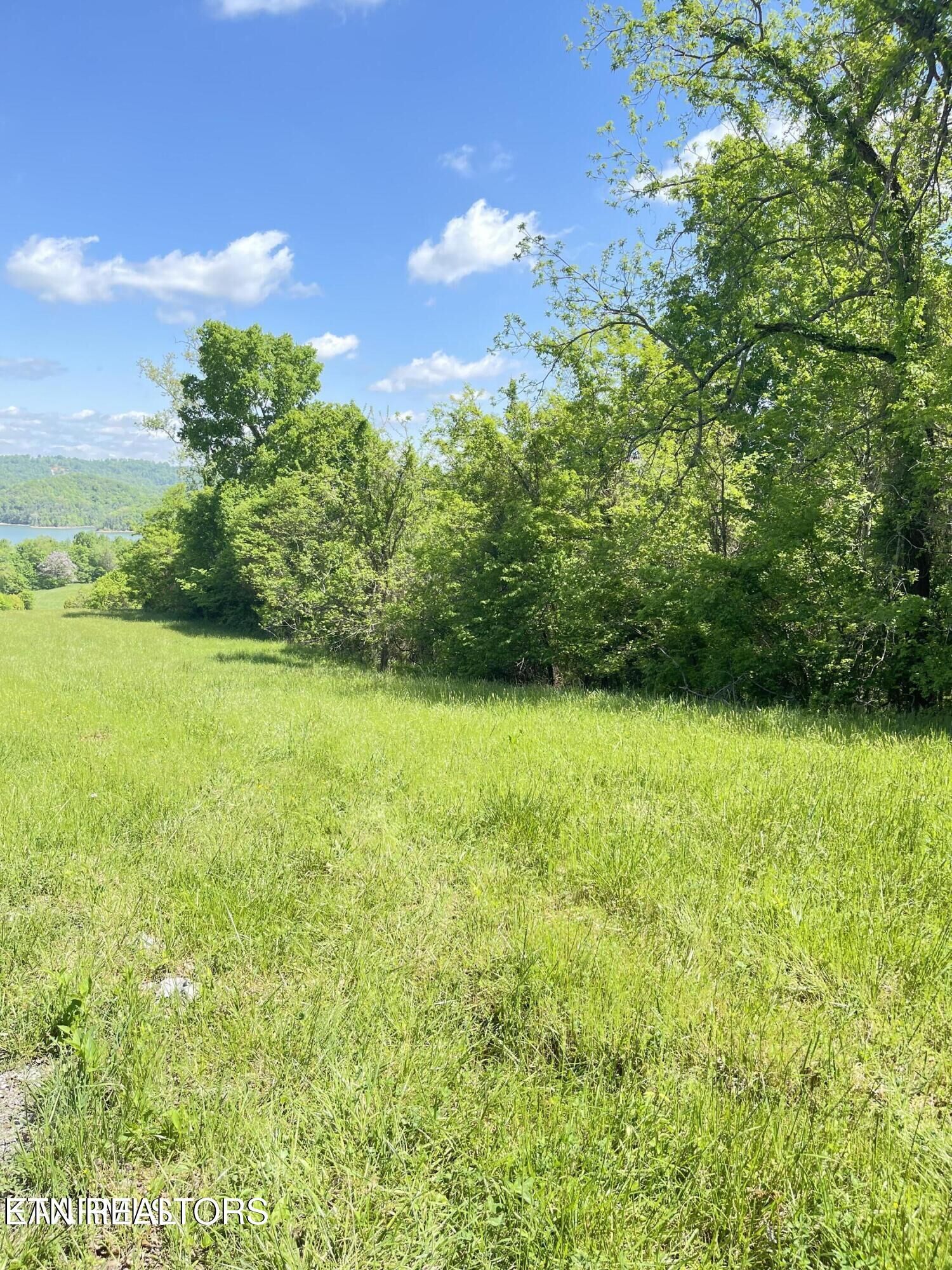 Property Photo:  Bob Wright Rd Lot 17  TN 37807 