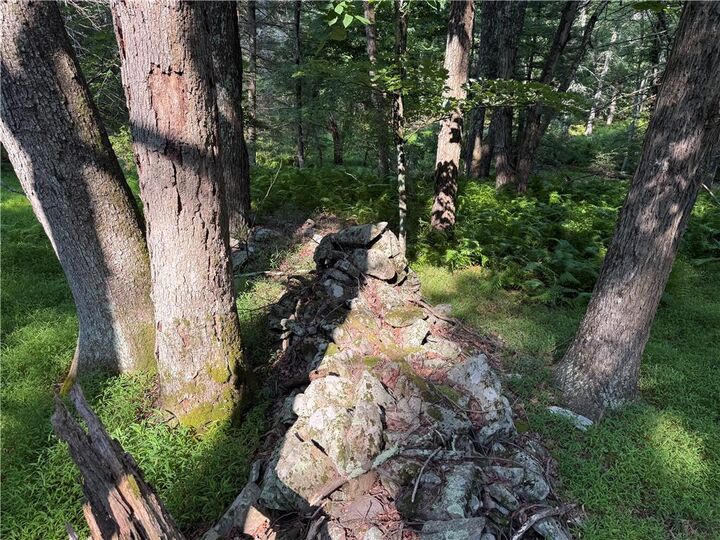 Property Photo: Rebels Road Lot 2C PA 18435