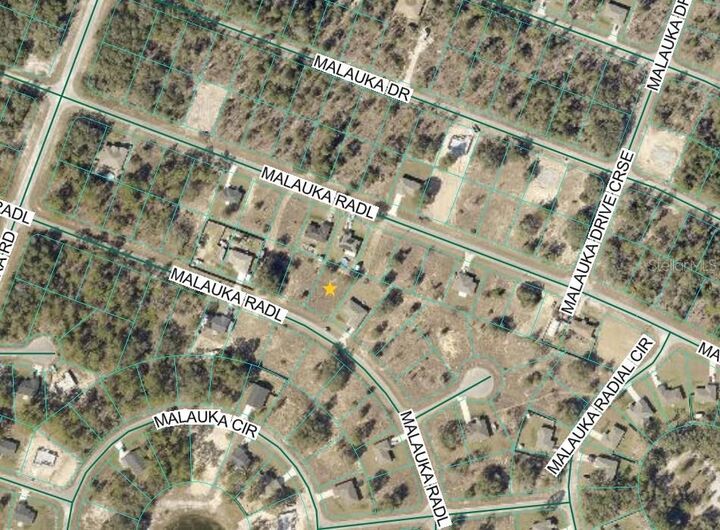 Property Photo:  Malauka Radial  FL 32179 