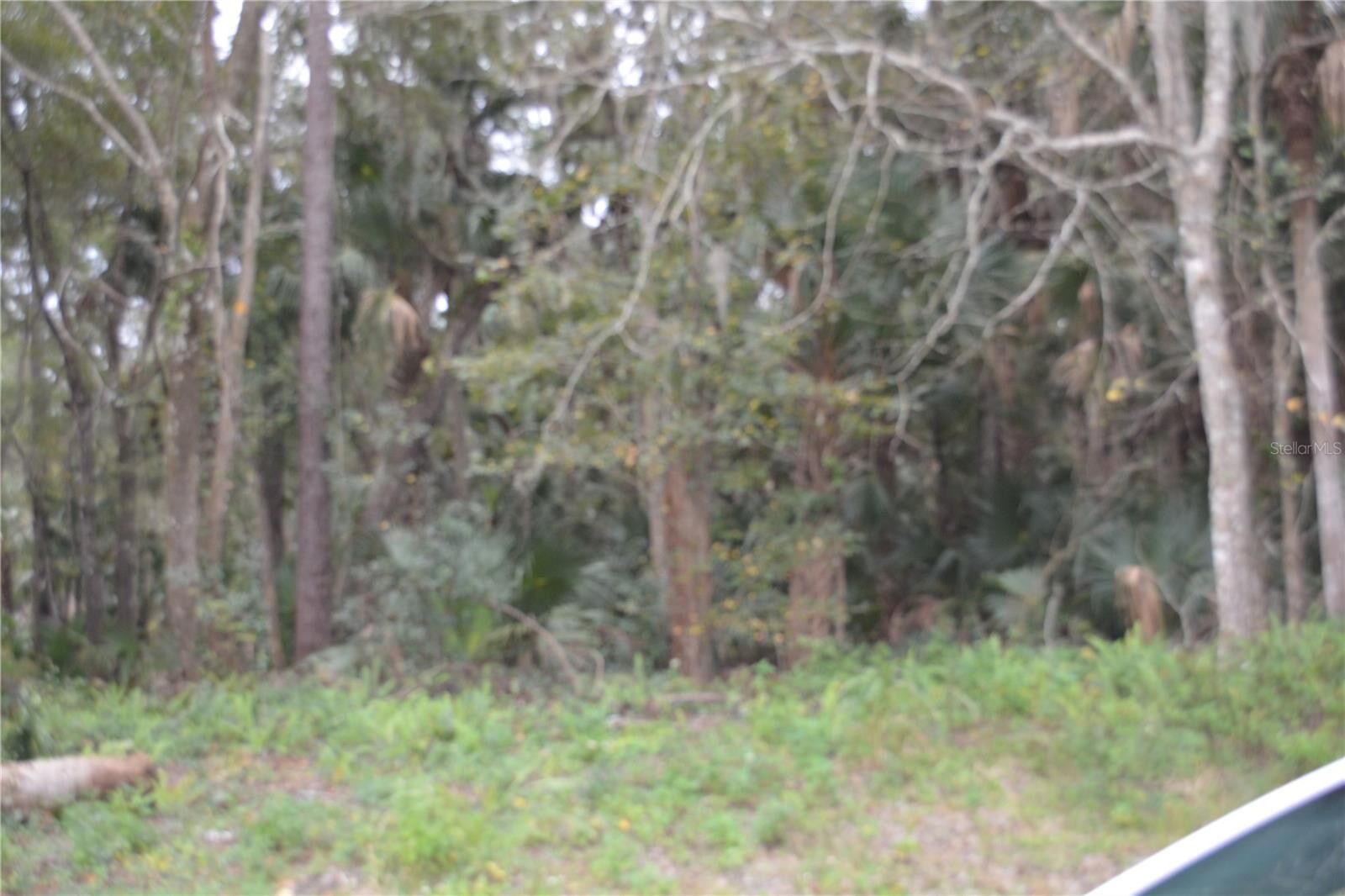 Property Photo:  0 Lincoln Street  FL 32771 