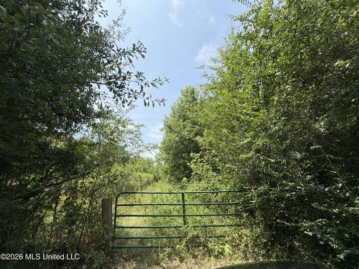 Property Photo: Stout Road MS 39110
