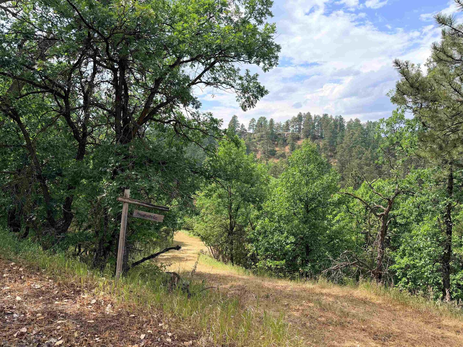 Property Photo:  Tbd Timberline Road  SD 57783-1120 