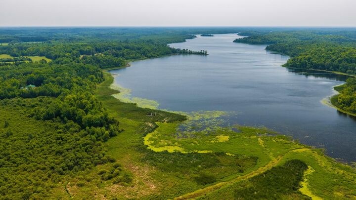 Property Photo:  12365 Scenic Highway NE  MN 56630 