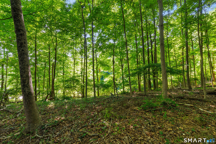 Property Photo:  466 Weed Street  CT 06840 