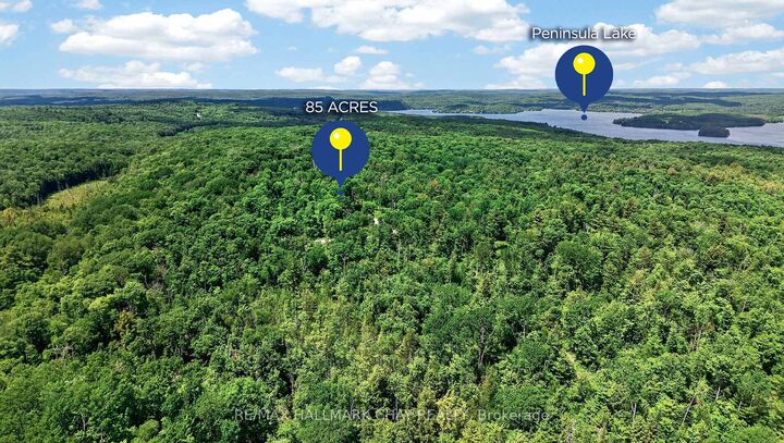 Property Photo: Lot 29 Concession 11 Franklin N/A ON N0N 0N0
