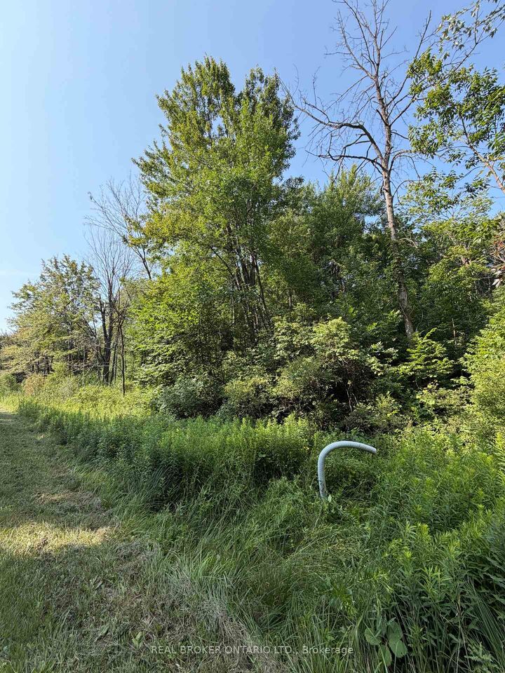 Property Photo:  436123 43rd Line  ON N0J 1J0 