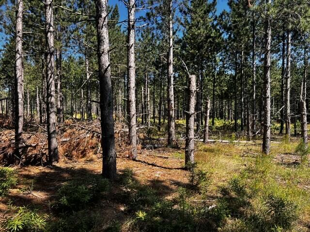 Property Photo: 51+/-Acres Topinabee Mail Rte/S Extension Road MI 49791