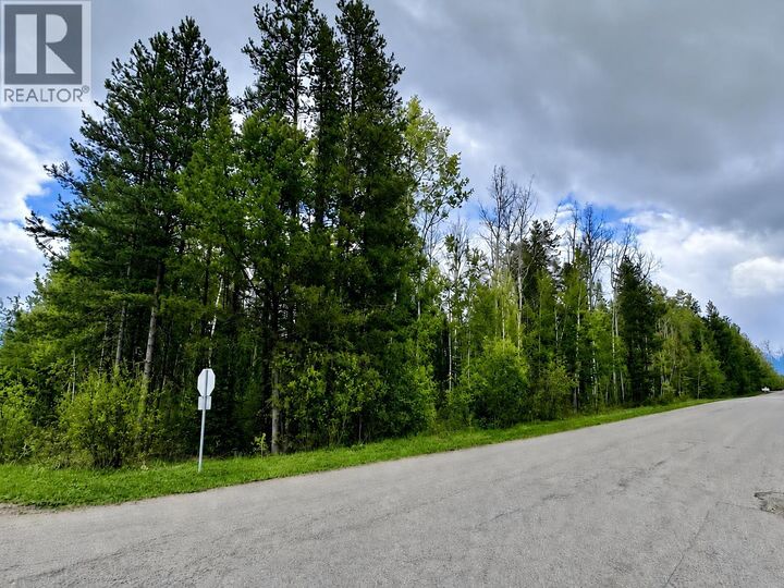 Property Photo:  10 17th Avenue Lot  BC V0E 2Z0 