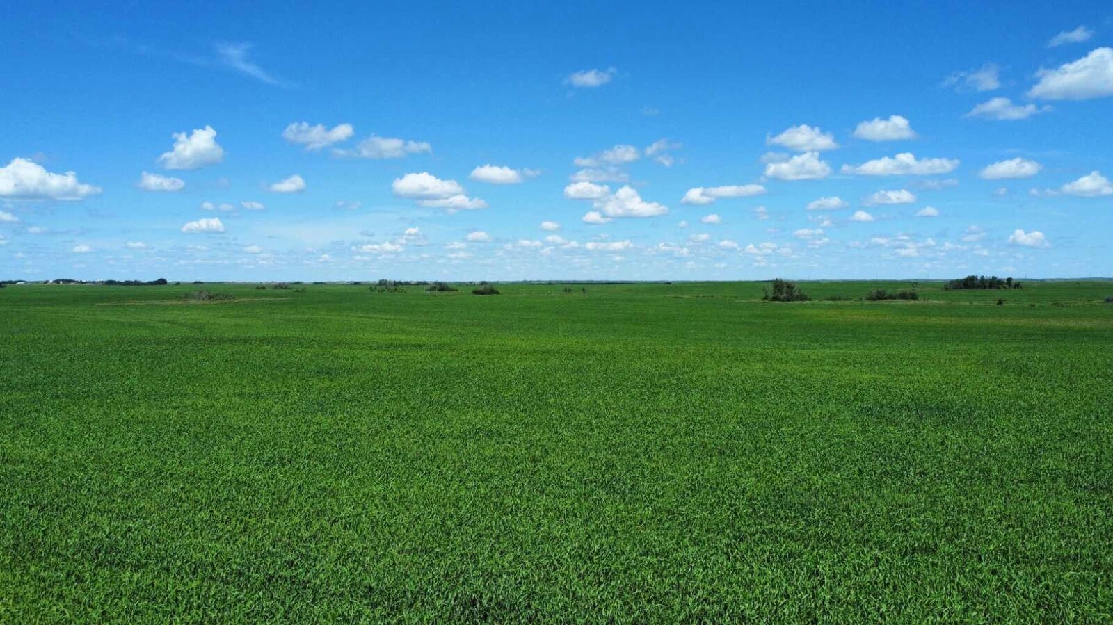Property Photo: 6,133 Acres AB T0J 2J0